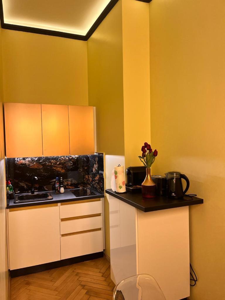 Urban Central Apartments 브라쇼브 외부 사진